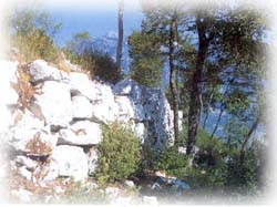Clicca per ingrandire