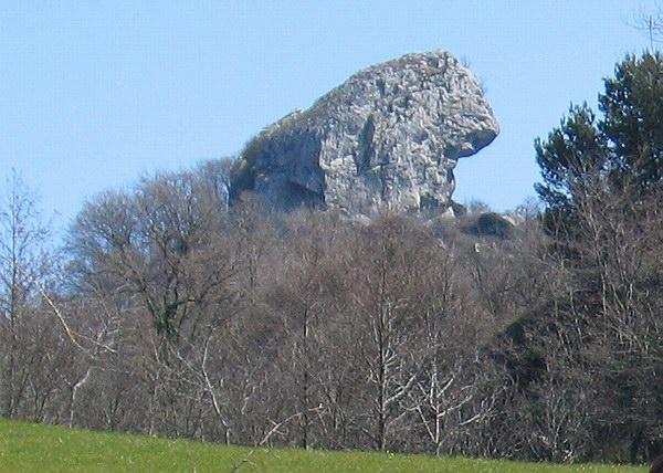 leonessa