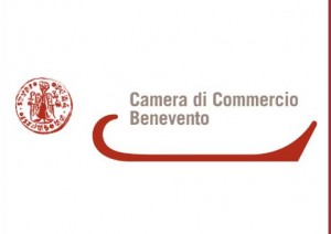 camera_commercio_benevento_ logo