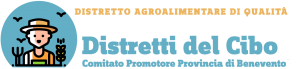 distrettodelcibo-logo C (1)