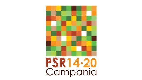 psr-campania-204-2020logo