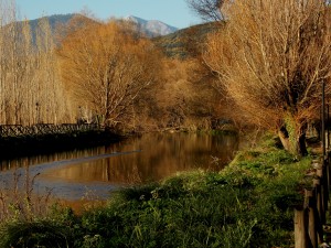 parco grassano