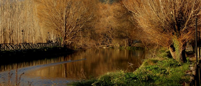 Rio Grassano