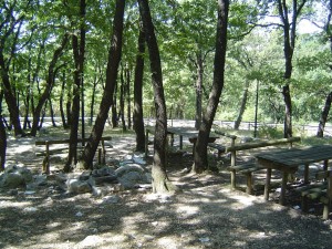 parco rascolagatti